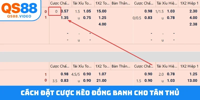 Cách đặt cược kèo đồng banh cho tân thủ